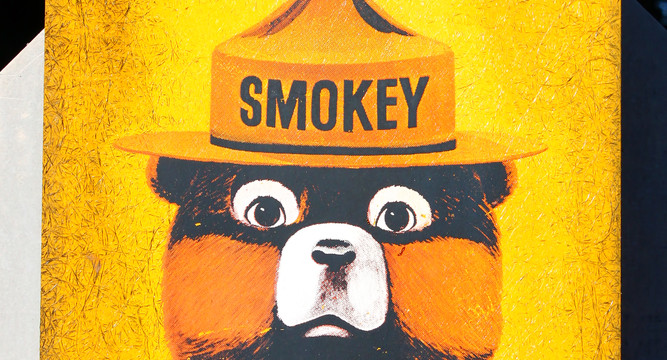 Smokey bear-prevent forest fires image